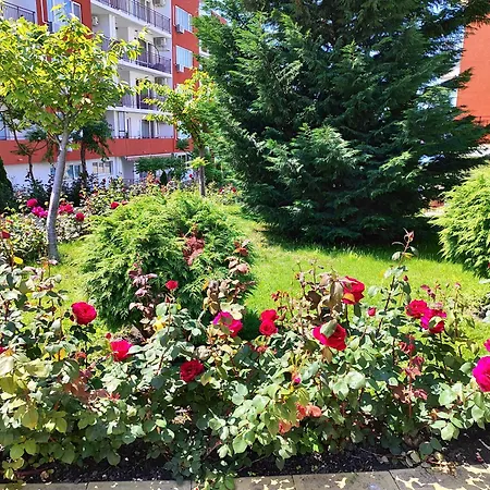 Aria Private In Noks Grand - Saint Vlas * Święty Włas