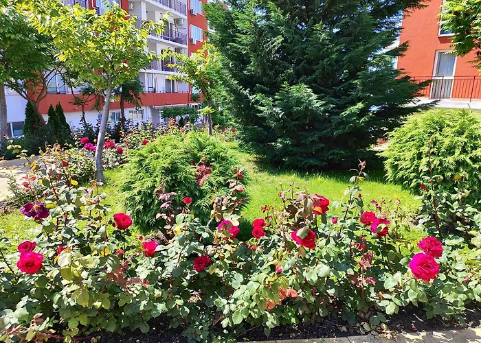 Aria Private In Noks Grand - Saint Vlas * Święty Włas